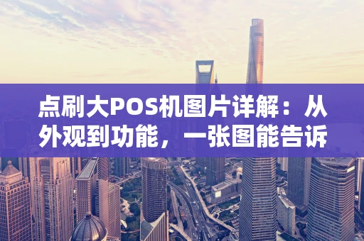 点刷大POS机图片详解：从外观到功能，一张图能告诉你什么？