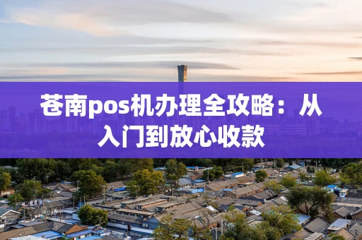 苍南pos机办理全攻略：从入门到放心收款