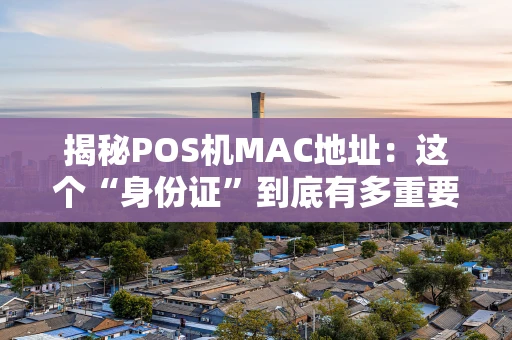 揭秘POS机MAC地址：这个“身份证”到底有多重要？