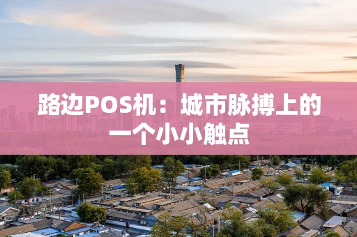 路边POS机：城市脉搏上的一个小小触点