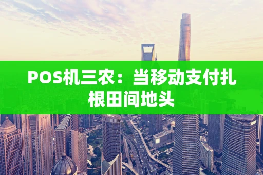POS机三农：当移动支付扎根田间地头
