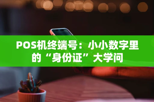 POS机终端号：小小数字里的“身份证”大学问