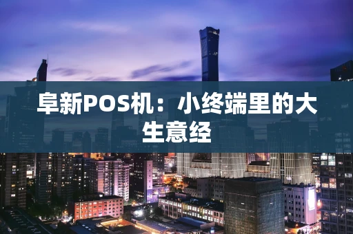 阜新POS机：小终端里的大生意经