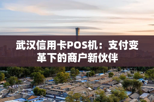 武汉信用卡POS机：支付变革下的商户新伙伴