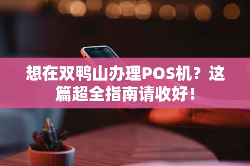 想在双鸭山办理POS机？这篇超全指南请收好！