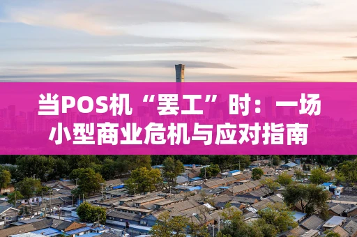 当POS机“罢工”时：一场小型商业危机与应对指南