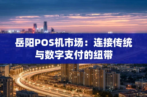 岳阳POS机市场：连接传统与数字支付的纽带