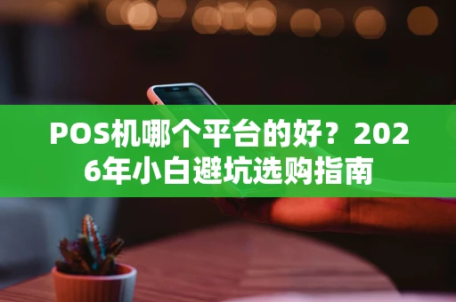 POS机哪个平台的好？2026年小白避坑选购指南
