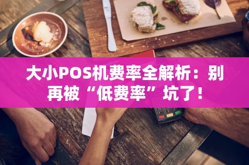 大小POS机费率全解析：别再被“低费率”坑了！