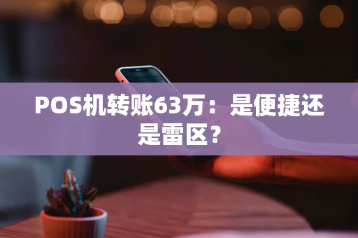 POS机转账63万：是便捷还是雷区？