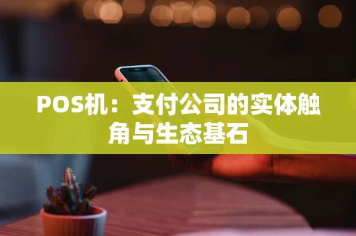 POS机：支付公司的实体触角与生态基石