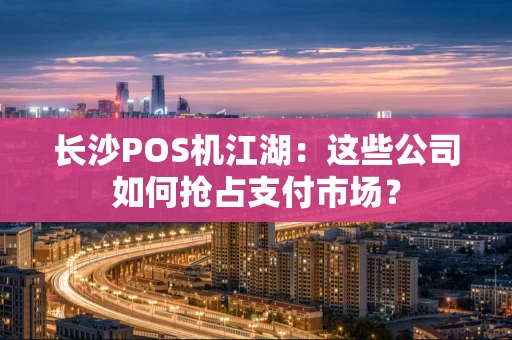 长沙POS机江湖：这些公司如何抢占支付市场？
