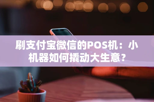 刷支付宝微信的POS机：小机器如何撬动大生意？