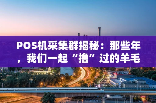 POS机采集群揭秘：那些年，我们一起“撸”过的羊毛与踩过的坑