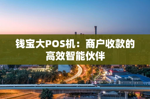 钱宝大POS机：商户收款的高效智能伙伴