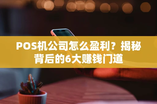 POS机公司怎么盈利?揭秘背后的6大赚钱门道 POS机公司怎么盈利?揭秘背后的6大赚钱门道