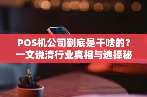 POS机公司到底是干啥的?一文说清行业真相与选择秘诀 POS机公司到底是干啥的?一文说清行业真相与选择秘诀